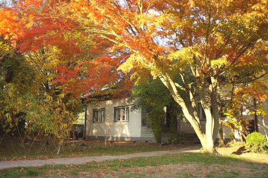 Kindergarten Rasselbande - Haus & Garten